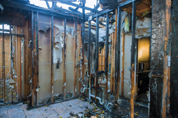 Professional Smoke Damage Removal technician working in Buckhorn, CA